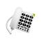 Doro Phoneasy 311C White