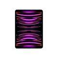 Apple 11-inch iPad Pro Wi-Fi + Cellular 2TB - Space Grey