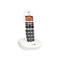 Doro Phoneeasy 100W Dect