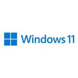 Microsoft Windows 11 Pro - Box pack - 1 licence - flash drive - 64-bit - English International