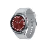 Samsung Galaxy Watch6 Stainless BT 43mm Silver