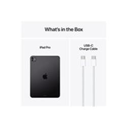 Apple 11-inch iPad Pro WiFi + Cellular 2TB with Nano-texture Glass - Space Black