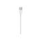 Apple Lightning to USB Cable (1m)