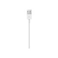 Apple Lightning to USB Cable (1m)