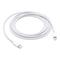 Apple USB-C to Lightning Cable 2m