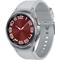 Samsung Galaxy Watch6 Classic 43mm Silver LTE Grade A