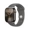 Apple Watch Series 10 GPS + Cellular 46mm Natural Titanium Case with Stone Grey Sport Band - S/M