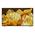 Sony 65 X90L Bravia 4K UHD Smart TV