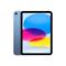 Apple 10.9-inch iPad Wi-Fi 256GB - Blue