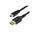 StarTech.com Mini DisplayPort to DisplayPort 1.4 Cable 3.1m